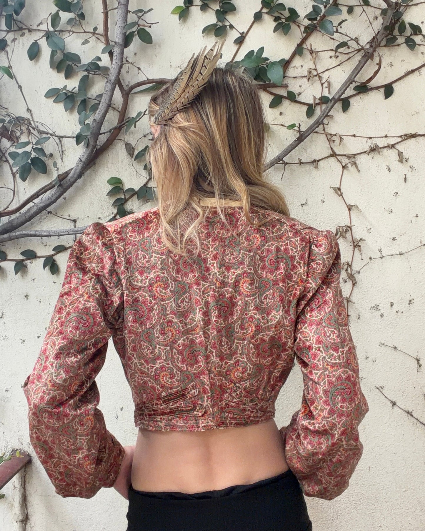 Antique Victorian Era Psychedelic Paisley Velvet Bodice