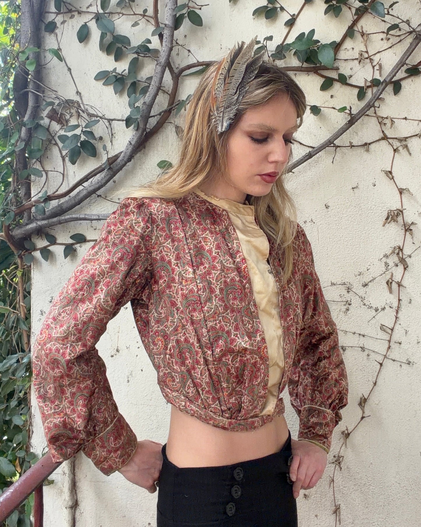 Antique Victorian Era Psychedelic Paisley Velvet Bodice