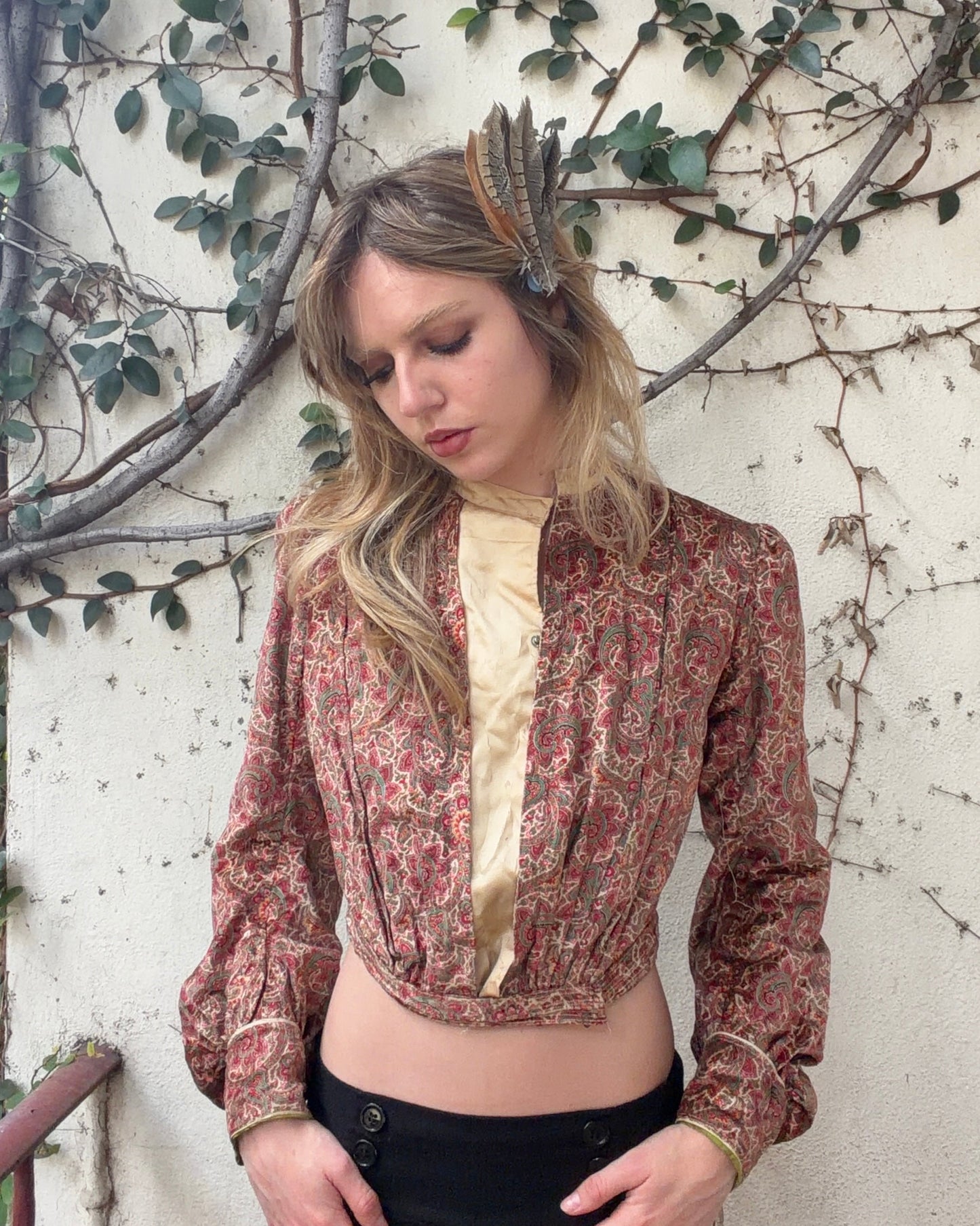 Antique Victorian Era Psychedelic Paisley Velvet Bodice